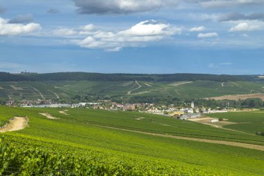 Bereketli üzüm bağları Chablis, Bourgogne, Fransa 'yı çevreleyen manzarayı örtüyor ve yaz gökyüzünün altında pitoresk bir manzara yaratıyor.
