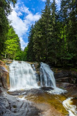 Mumlava Şelalesi 'nin manzarası Çek Cumhuriyeti, Harrachov' da bulutlu, mavi gökyüzünün altındaki yeşil ağaçların arasında kayaların arasından akıyor.