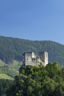 Strecno Kalesi 'nin görkemli kalıntıları, Slovakya' da berrak mavi bir gökyüzünün altında yemyeşil bir yeşil ile çevrili bir uçurumun tepesine tünemişti.