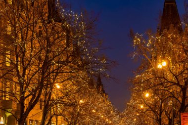 Alacakaranlıkta Budapeşte 'de ağaçları ve binaları aydınlatan Noel ışıkları