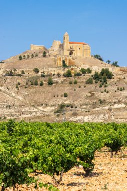 Tarihi San Vicente de la Sonsierra Şatosu İspanya 'nın La Rioja kentindeki güzel bir üzüm bağının üzerinde yükseliyor ve bölgenin zengin şarap üretim mirasını gözler önüne seriyor.