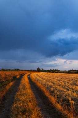 Toprak yol, Fransa 'nın Provence şehrinde gün batımında dramatik bir gökyüzünün altında toplanan tarlaları geçer.