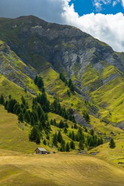 Yeşil dağ yamaçlarında çam ağaçları ve Fransız Alplerinde güneşli bir yaz gününde vadide küçük ahşap bir ev.