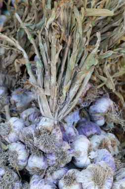 Nyons 'ta bir Fransız pazarında bir avuç pembe sarımsak kuruyor.