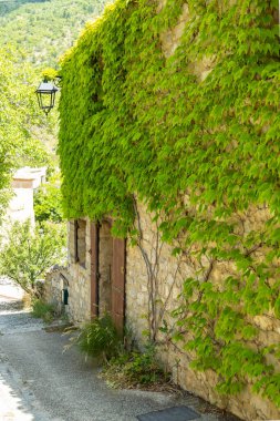 Fransa, Drome 'daki Le Poet Sigillat' ın pitoresk köyünde taştan duvara tırmanan yemyeşil sarmaşık büyüleyici bir sahne oluşturuyor.