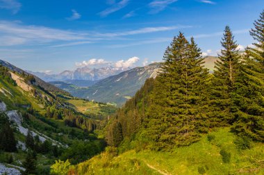 Parlak mavi gökyüzünün altında yeşil ladin ağaçları olan Fransız Alpleri dağ vadisi