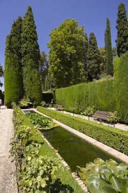 Genelkurmay bahçeleri uzun, yansıtıcı bir havuz gösteriyor. Çitlerle çevrili nilüferler var.