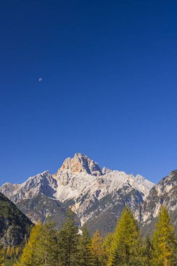 Livinallongo del Col di Lana, Veneto, İtalya 'da sonbahar ağaçlarıyla ay ve dağ zirveleri