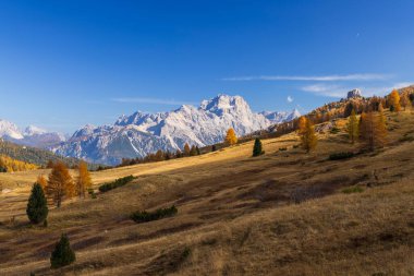 İtalya, Cortina d 'Ampezzo' da ağaçlarla dolu eğimli bir sonbahar tarlasını çevreleyen Dolomite dağları