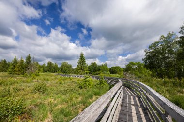 Ahşap tahta kaldırım, bulutlu mavi gökyüzünün altındaki yeşil bataklıkta dönüyor.