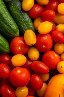 Renkli olgun domatesler ve su damlacıklı yeşil salatalıklar taze ve sağlıklı beslenme gösteriyor.