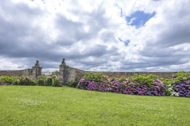 Yeşil çimenler ve ortanca çalıları bulutlu bir gökyüzünün altındaki eski bir bahçe kapısına çıkıyor.
