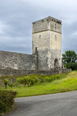 Nouvelle Aquitaine 'deki Bellocq Kalesi, Pyrenees Atlantiques, Fransa' da güçlendirilmiş bir kule