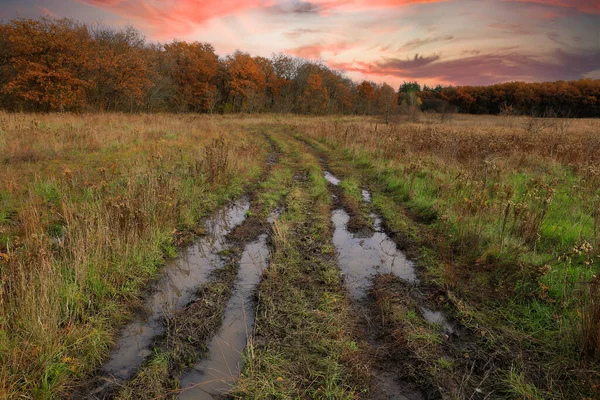 Evening Scene Puddles Dirt Road Autumn Time — Stock Photo, Image