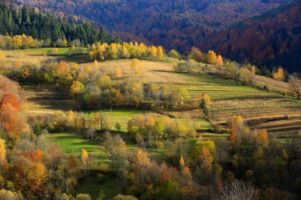 カルパチアの素晴らしい秋の風景 ウクライナでそれを取る — ストック写真