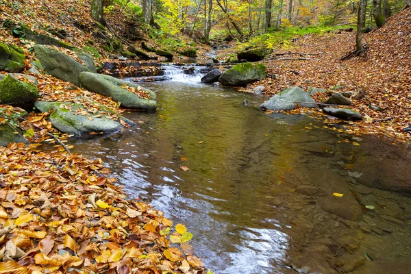 Podzimní Krajina Potokem Podzimním Lese Vezměte Ukrajině — Stock fotografie