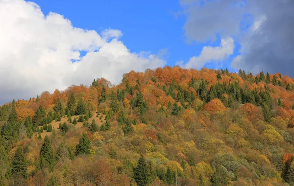 Podzimní Les Horském Svahu Pod Mraky Obloze — Stock fotografie