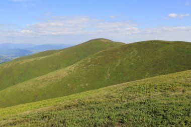Sunny landscape with green Carpathian mountains in Ukraine