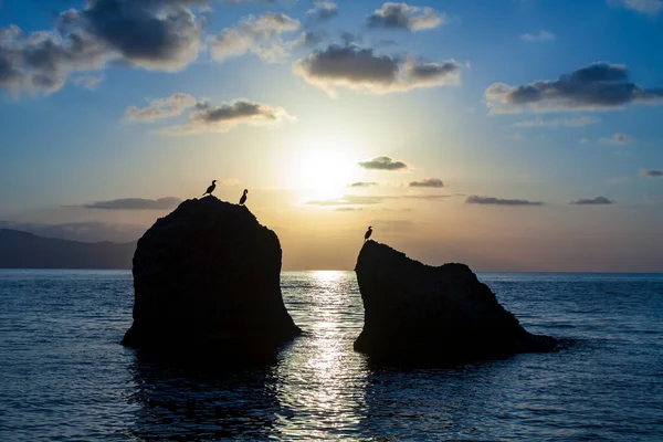 Noční Krajina Kameny Moři Pod Měsíčním Světlem — Stock fotografie