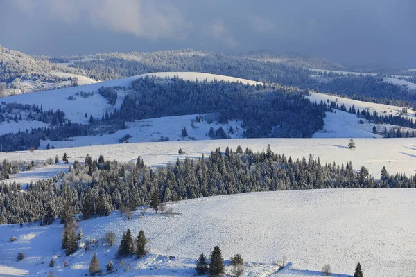 Winter Landscape Carpathian Mountains Take Ukraine — Stock Photo, Image