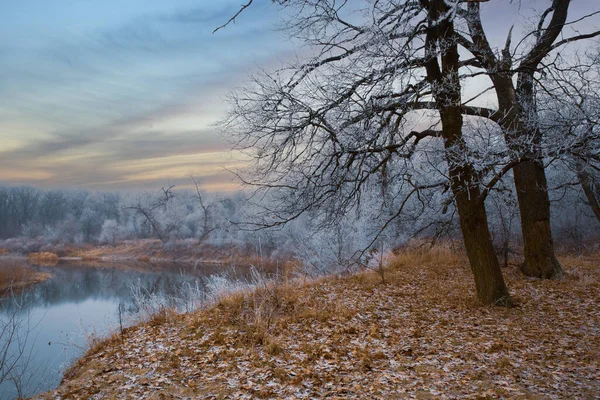 Nehir Kıyısında Donmuş Ormanla Sabah Manzarası — Stok fotoğraf