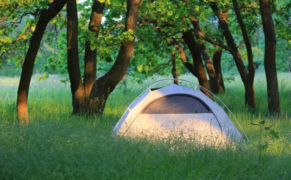 緑の芝生の間の春の森の中の観光テントと風景 — ストック写真