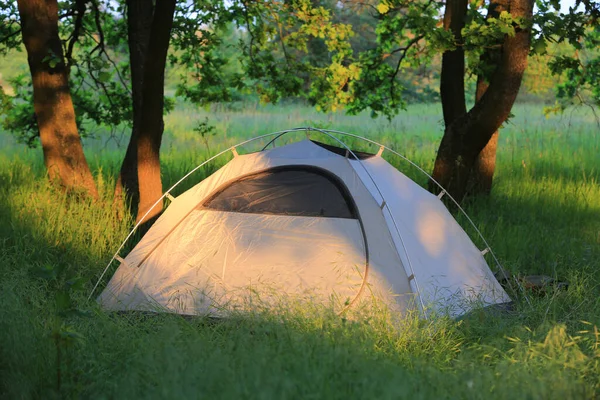 小树林里草原上的现代旅游帐篷 到乌克兰去拿吧 — 图库照片