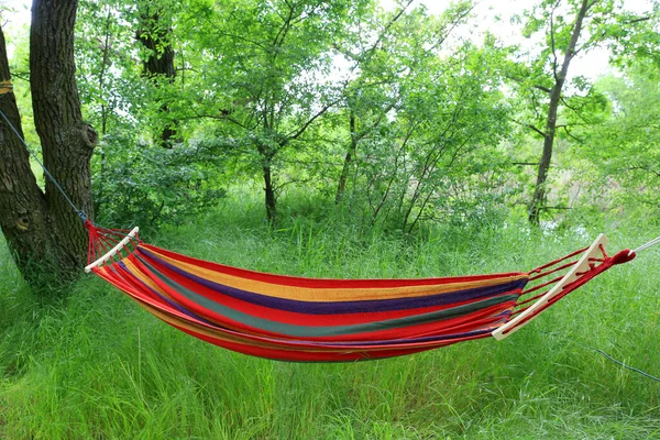 Tourist hammock in the green spring forest