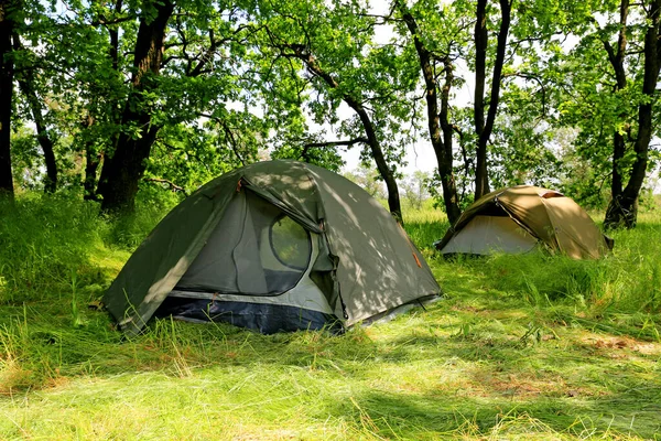 Две Туристические Палатки Зеленом Лугу Лесу — стоковое фото