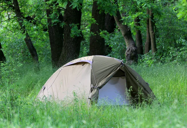 一个人在绿树成荫的森林里搭起了旅游帐篷 拿去乌克兰吧 — 图库照片
