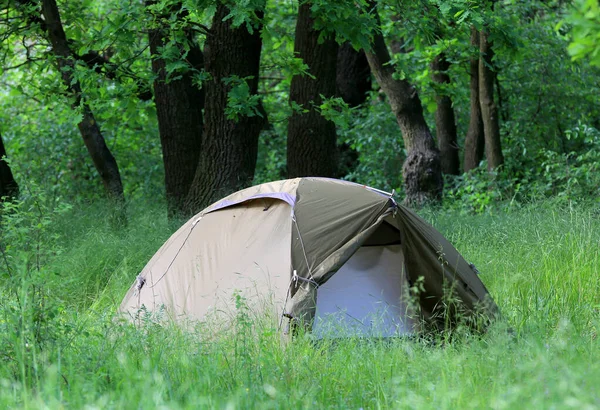 緑の春の森の中だけの観光テント ウクライナでそれを取る ストックフォト