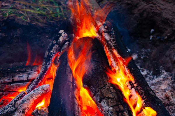 森のキャンプで薪を燃やす熱い炎 — ストック写真