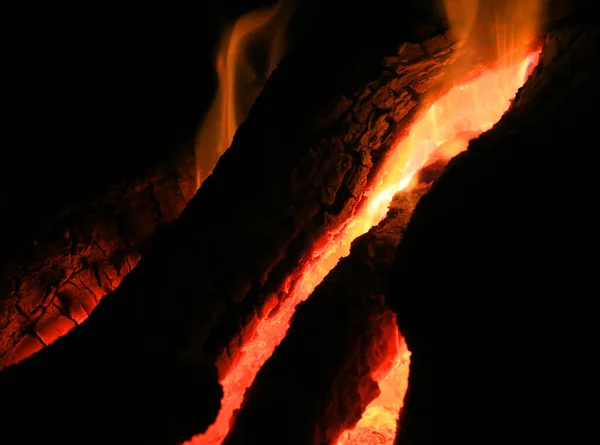 夜间在森林营地燃烧木柴的炽热火焰 — 图库照片