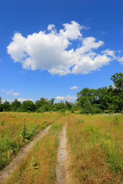 Paisagem Verão Com Estrada Rural Estepe Sob Nuvens Agradáveis Céu — Fotografia de Stock