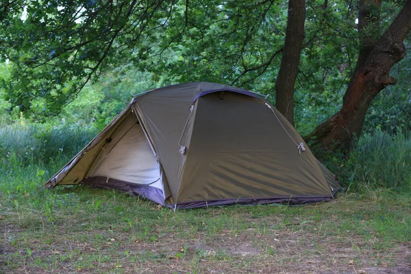 tourist tent on meadow under oak tree