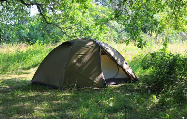 Ormandaki çayırdaki ağaç gölgesinde turist çadırı