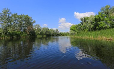 Ukrayna 'da küçük bir nehirde güzel bir yaz manzarası