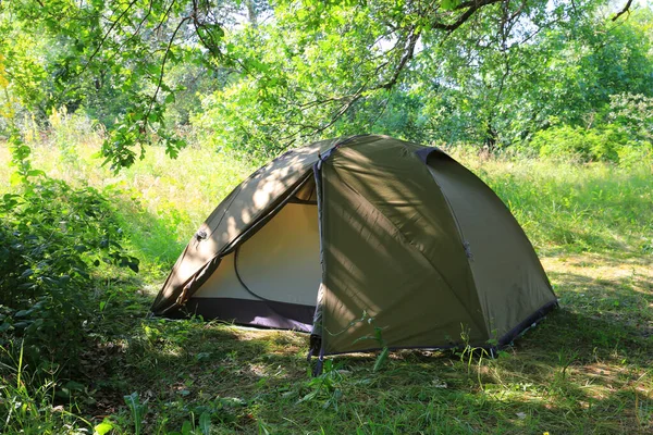 森の晴れた夏の牧草地の観光テント ロイヤリティフリーのストック写真