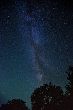 Gece gökyüzünde sihirli manzara - Samanyolu Galaksisi orman üzerinde