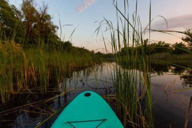 Nehirdeki sazlıklar arasında kanoyla akşam manzarası