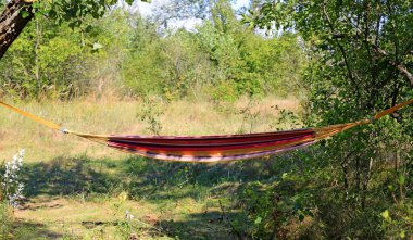 Kamp alanındaki ağaçların gölgesinde güzel bir hamak.