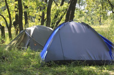 Yaz ormanlarındaki orman kampında modern turistik çadırlar.