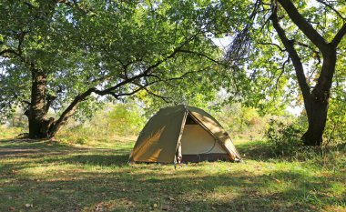 Orman kampındaki çayırda turist çadırı