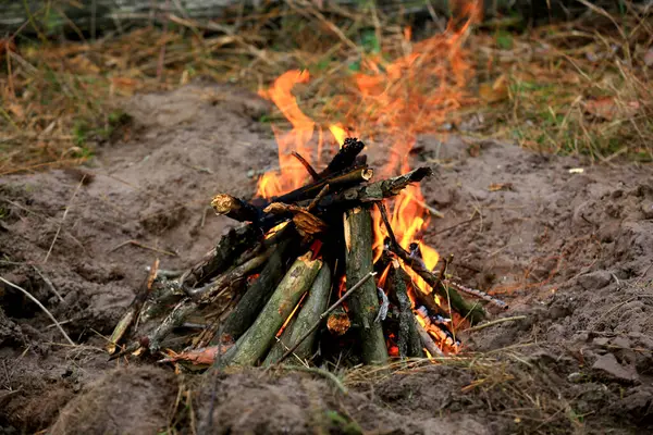 Ormandaki kamp ateşinde soyut bir odun yakma.