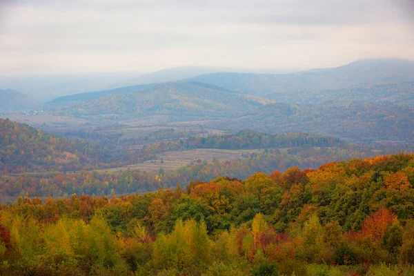 Ομιχλώδες Τοπίο Φθινόπωρο Καρπάθια Βουνά Ουκρανία — Φωτογραφία Αρχείου