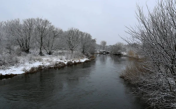 Paisagem Inverno Com Rio Floresta Tomá Ucrânia Fotos De Bancos De Imagens Sem Royalties