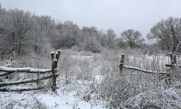 森の古い牧草地の木の塀が付いている冬の風景 ロイヤリティフリーのストック画像