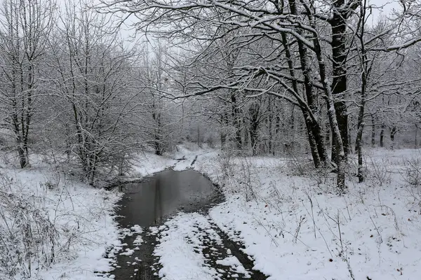 Paisaje Invernal Con Charco Camino Tierra Bosque Tomarlo Ucrania Imagen de stock