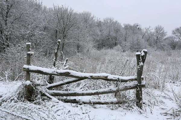 冬の森の牧草地の木の塀 ウクライナでそれを取る ストック画像
