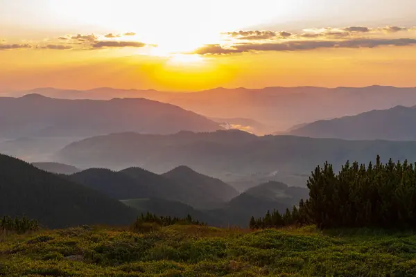 Solnedgångsscenen Gröna Berg Karpaterna Ukraina Stockbild